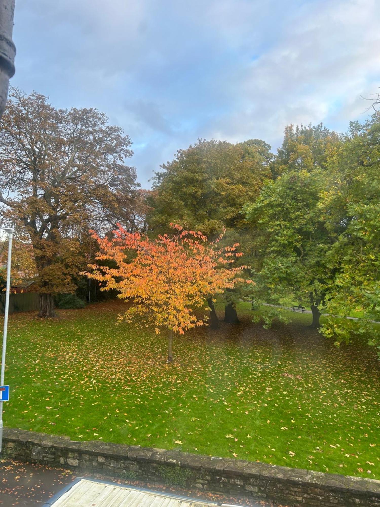 Park View Is A Beautiful Whole Entire House Close To Town Centre, Sleeps 8 In 4 Rooms, 2 Doubles And 4 Single Beds With 2 Shower Rooms, Available For Holidays, Insurance Stays, Trades People, Contractors, Pets Welcome Wisbech Luaran gambar